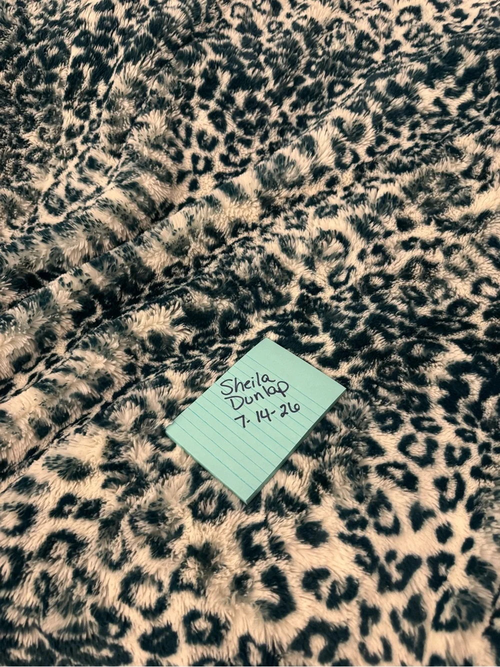 Minky blanket